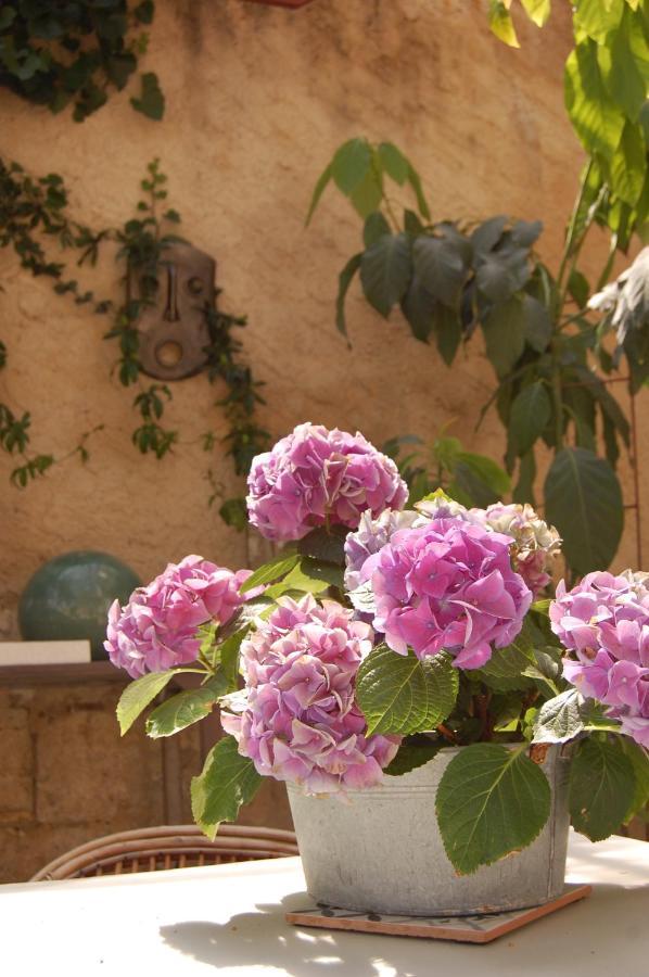 Madeleine Bergerac B&B 외부 사진